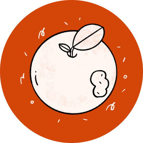 Talking About Race and Privilege Lesson Plan for Middle and High School Students