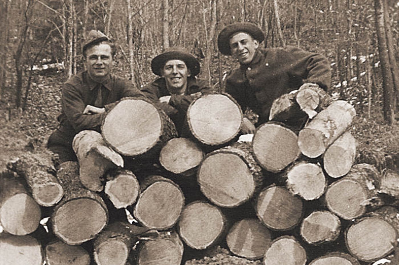 CONSERVATIONISM (THEODORE ROOSEVELT AND FRANKLIN DELANO ROOSEVELT) 