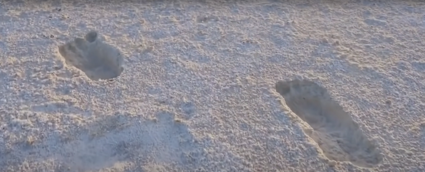 What's A Trackway? Ancient Footprints Raise Questions About When Humans First Came to North America