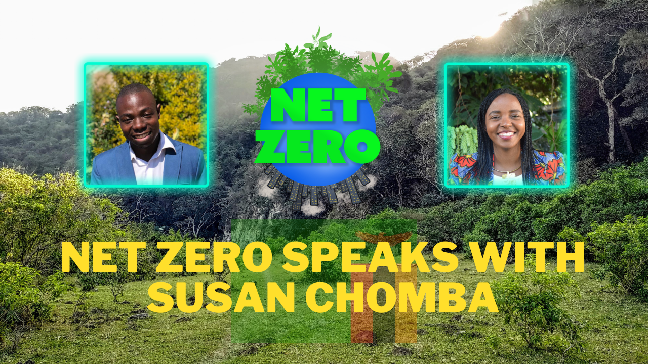 Net Zero Speaks with Susan Chomba about Africa's Reforestation Efforts