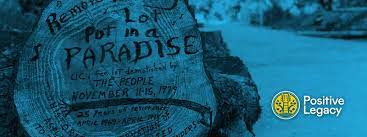 Singer-Songwriters and the Environmental Movement