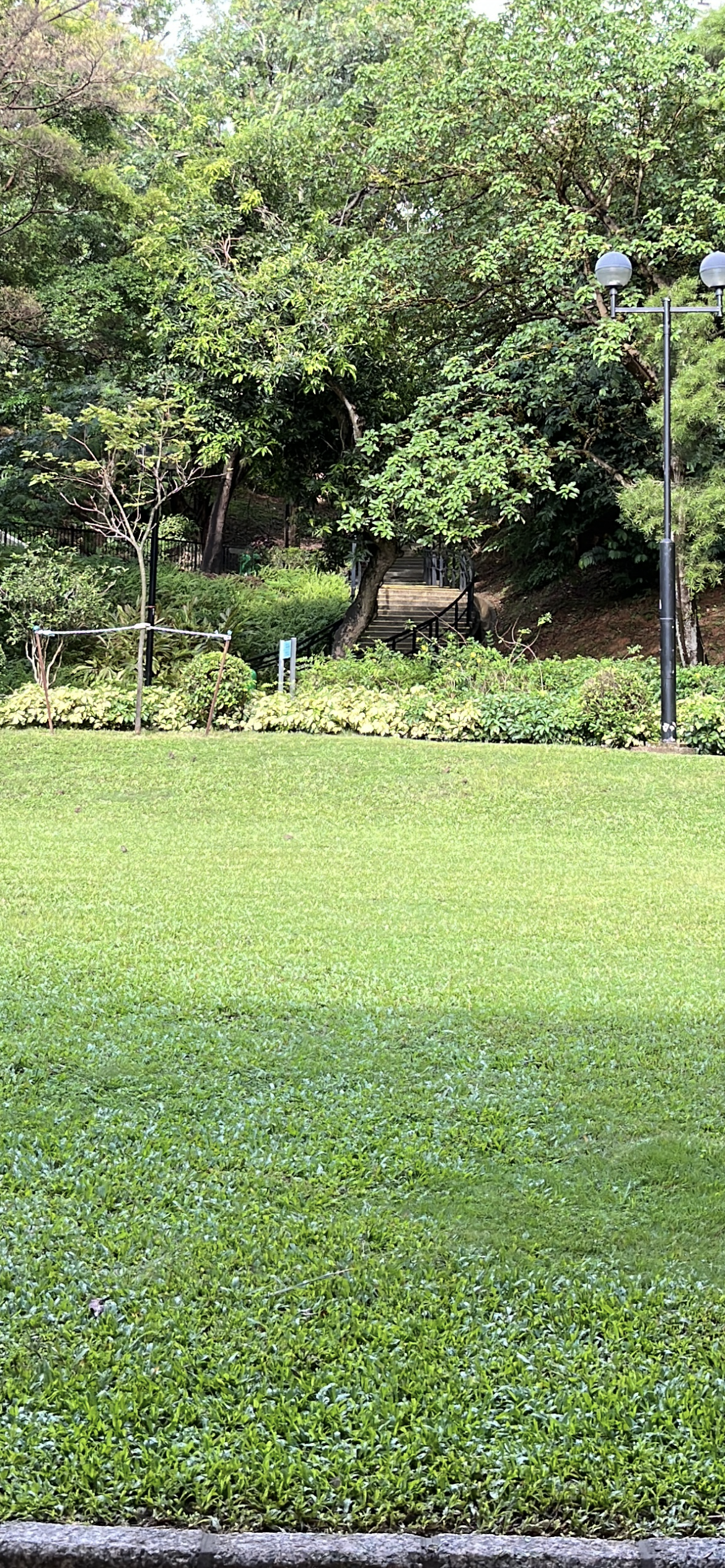 Sharing of Teaching Resources: Learning English Grammar Through Technology