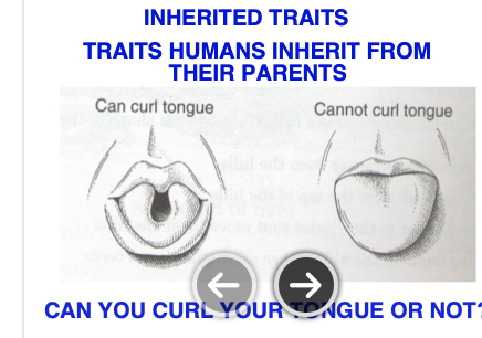 HEREDITY .Class activity and written followup