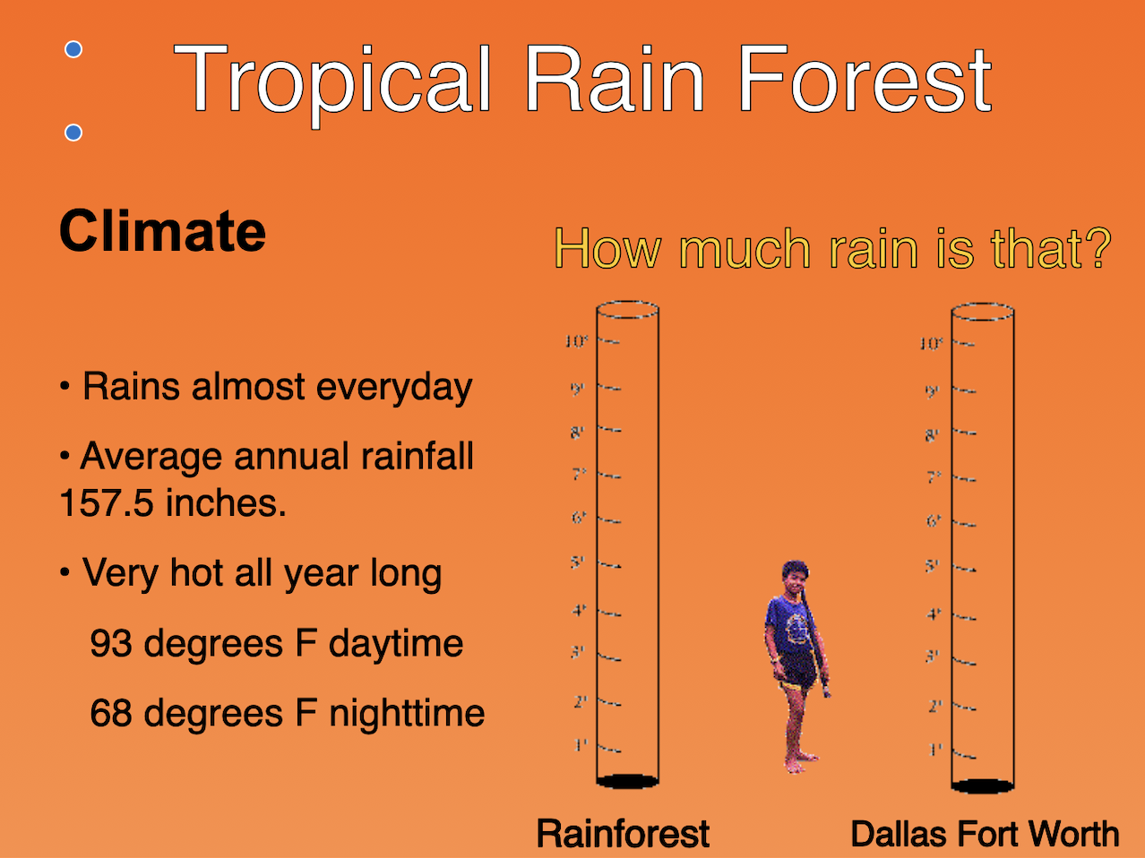 TROPICAL RAIN FOREST