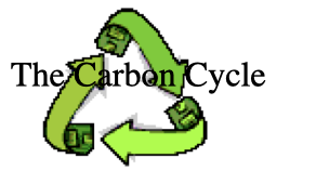 CARBON CYCLE