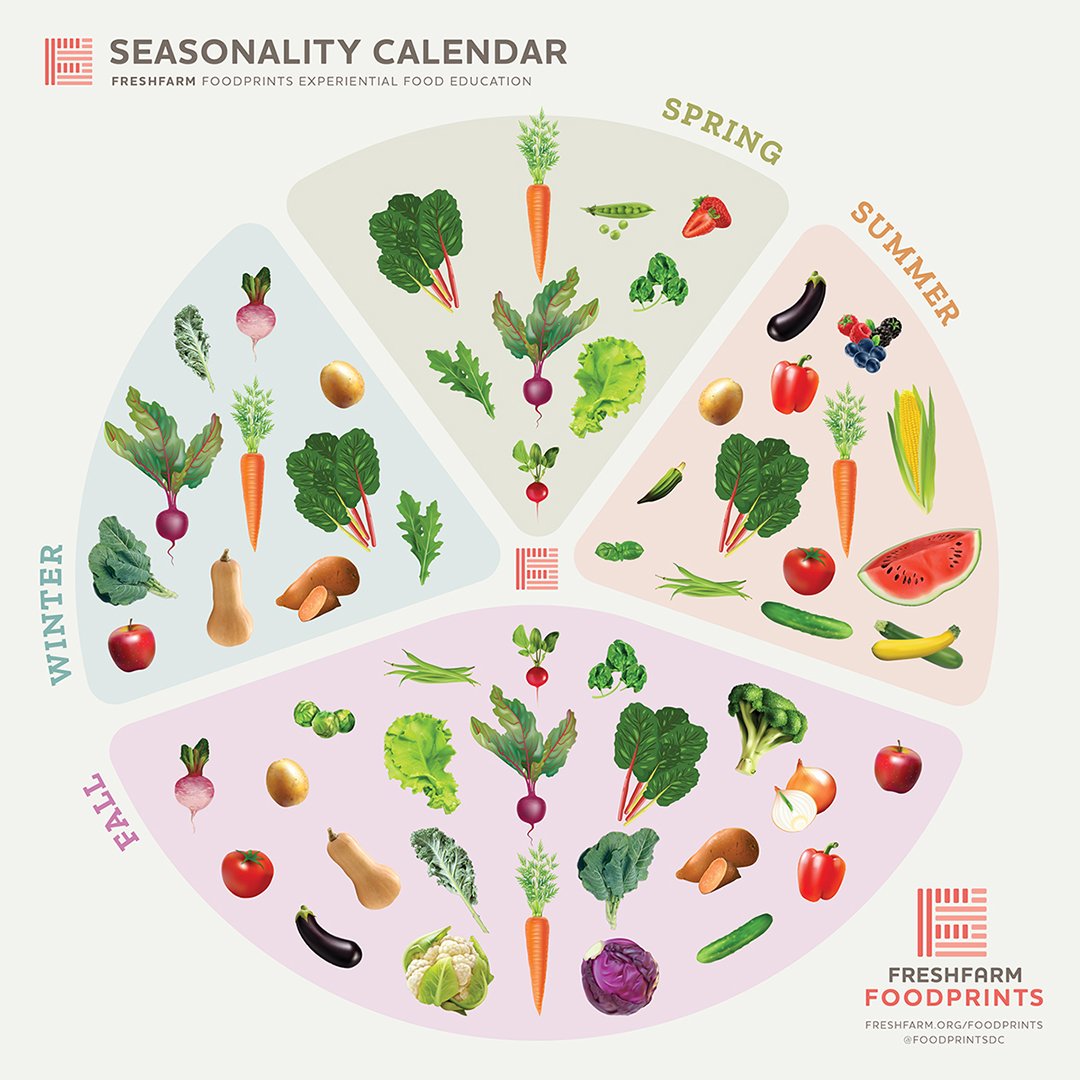 The Seasons of the Garden