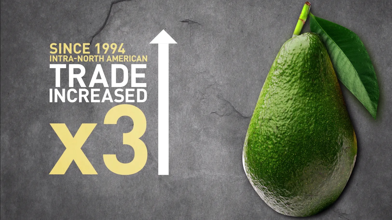 Globalization: How Globalization Affects What's for Brunch LEARNING RESOURCE