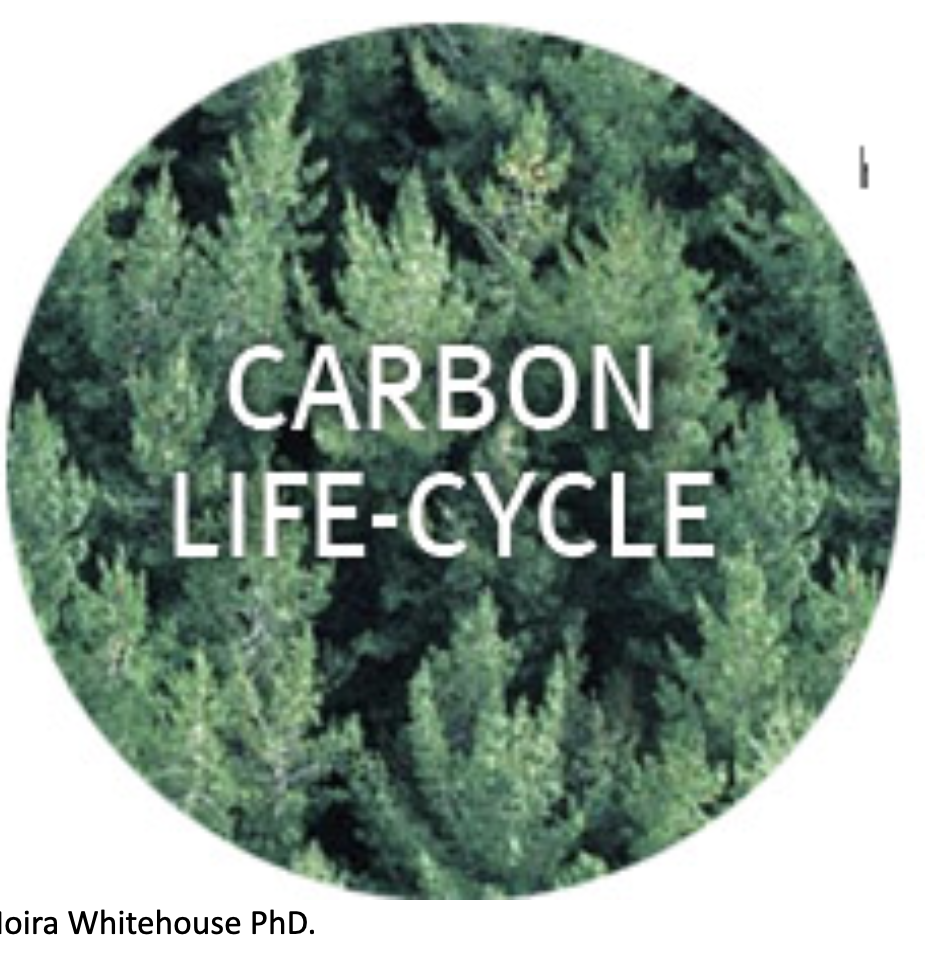 CARBON  AND  NITROGEN LIFE   CYCLES.    (expanded)