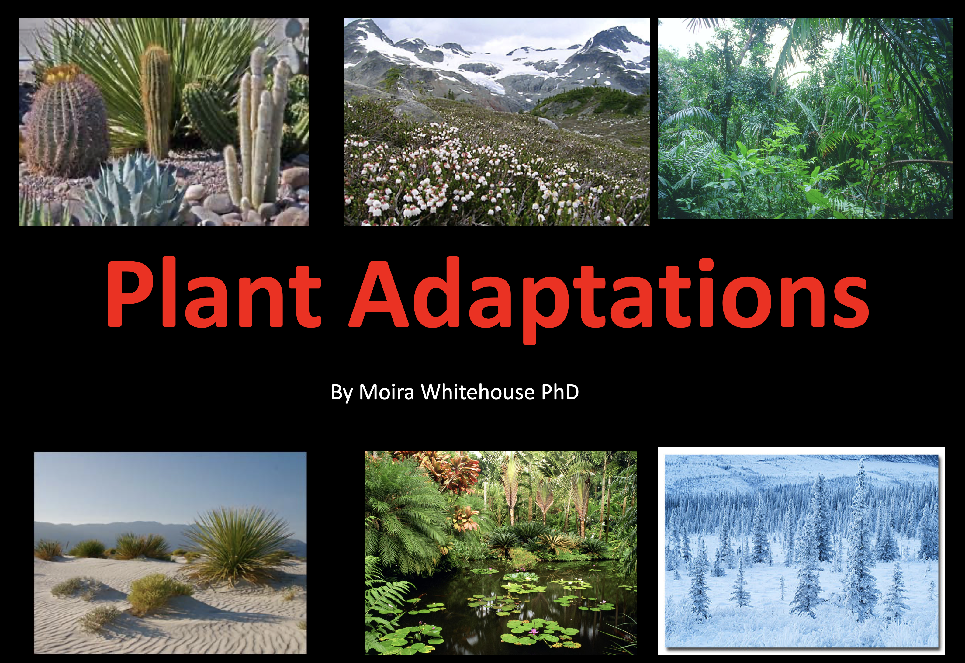 PLANT ADAPTATIONS