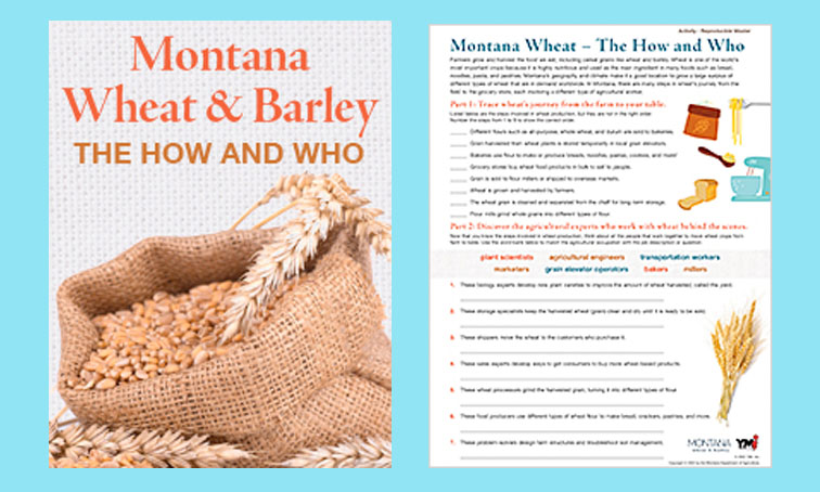 Montana Wheat & Barley — Lesson/activity on "The How and Who"