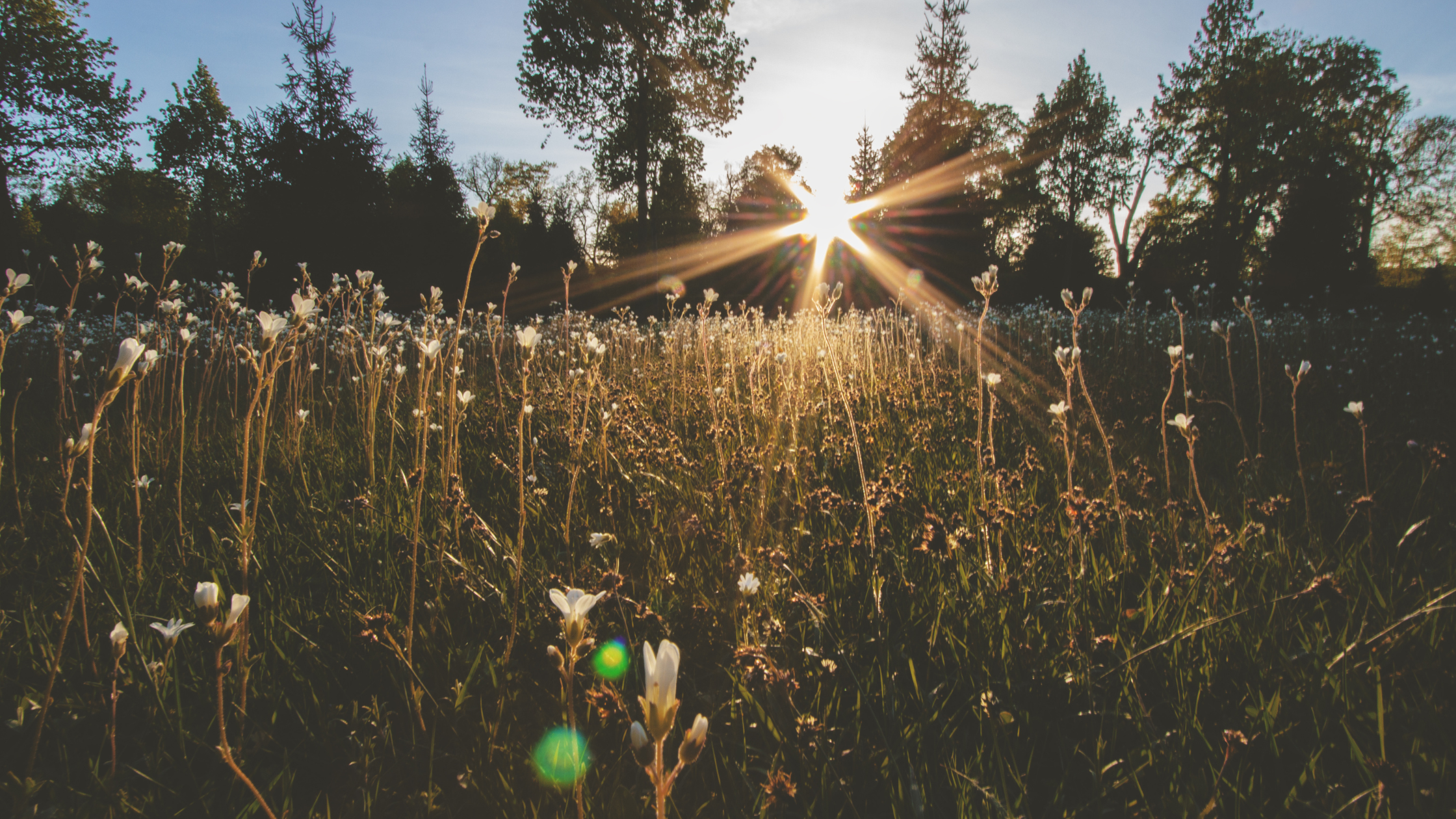 ELA Discussion & Climate Change Calls to Action 