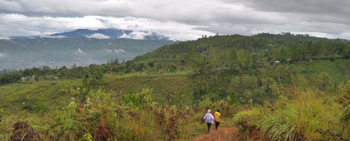 Saving Earth’s Most Threatened Plants