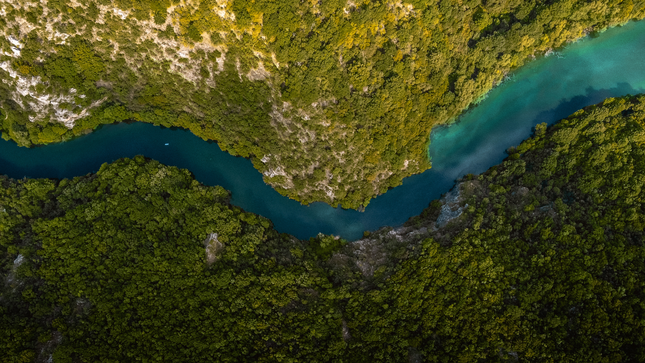 Water Quality & Your Local Watershed Science Activities