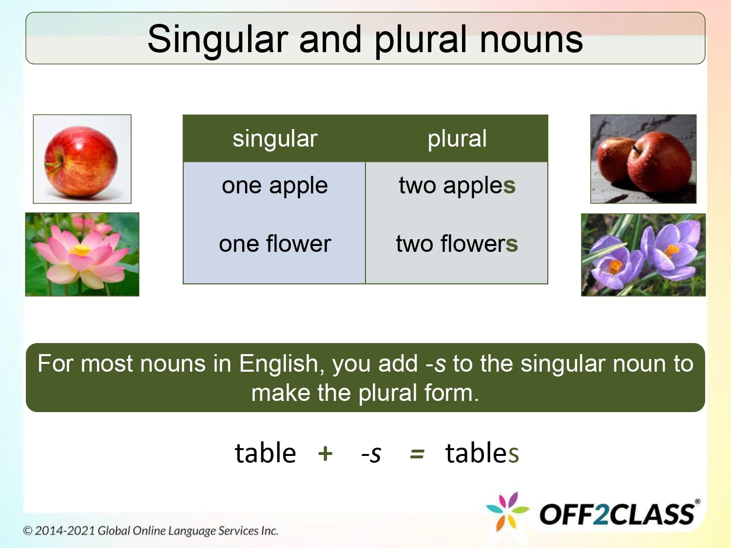 Singular And Plural Regular Nouns – Free ESL Lesson Plan 