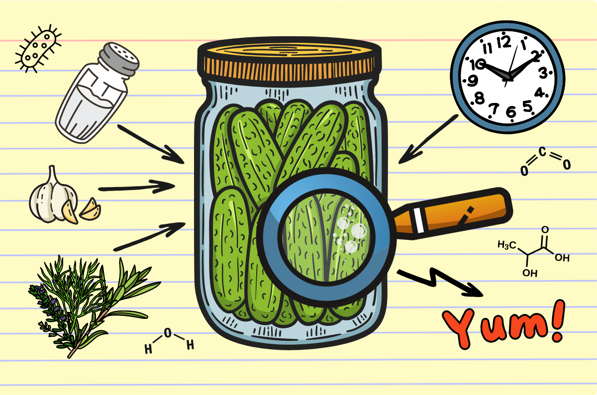 Stinky And Delicious: Why Fermentation Makes Great Food