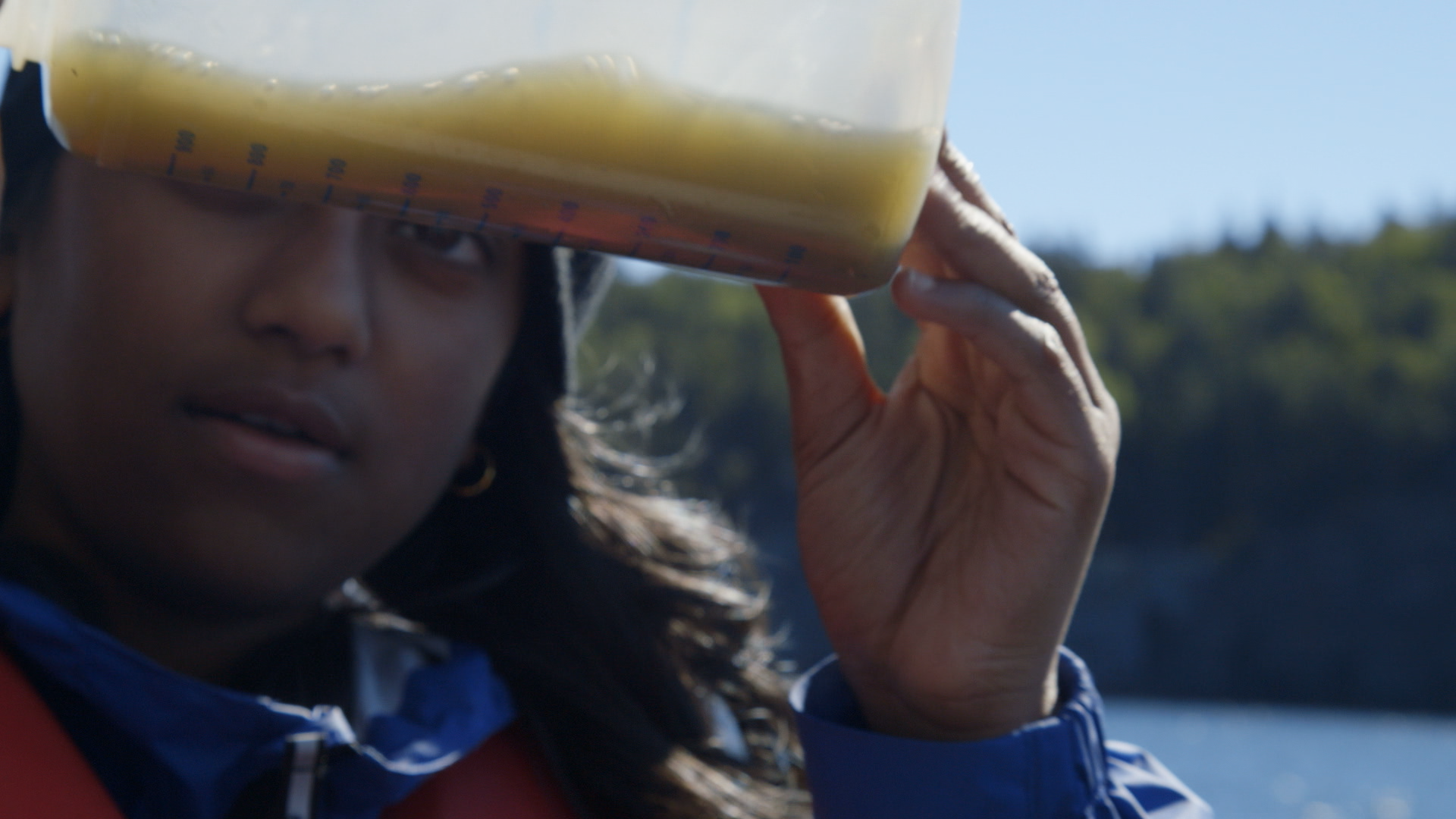 Food web game design activity (with a "game planner" process)