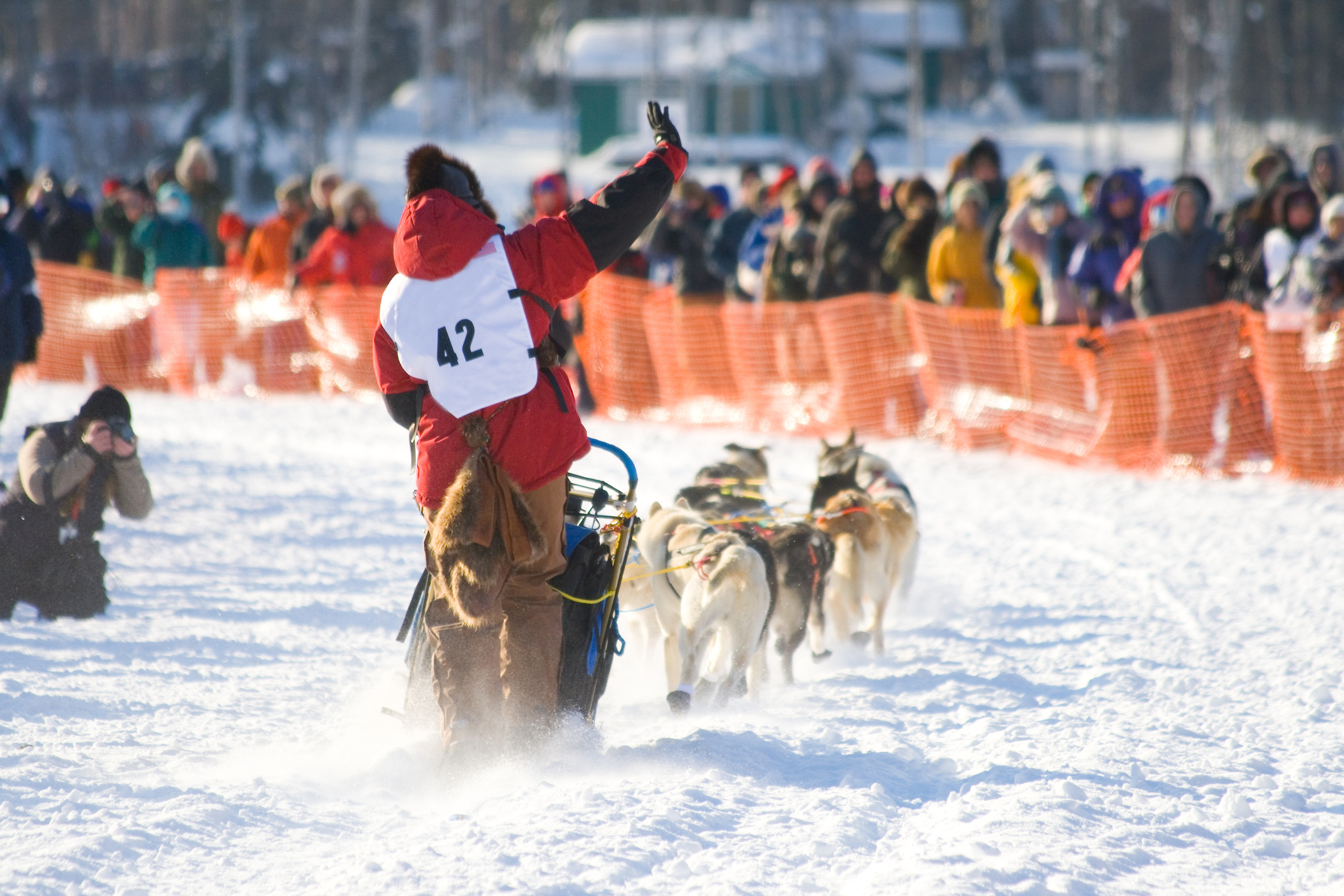 The Greatest Race: Iditarod Dog Sled Race and Trail 