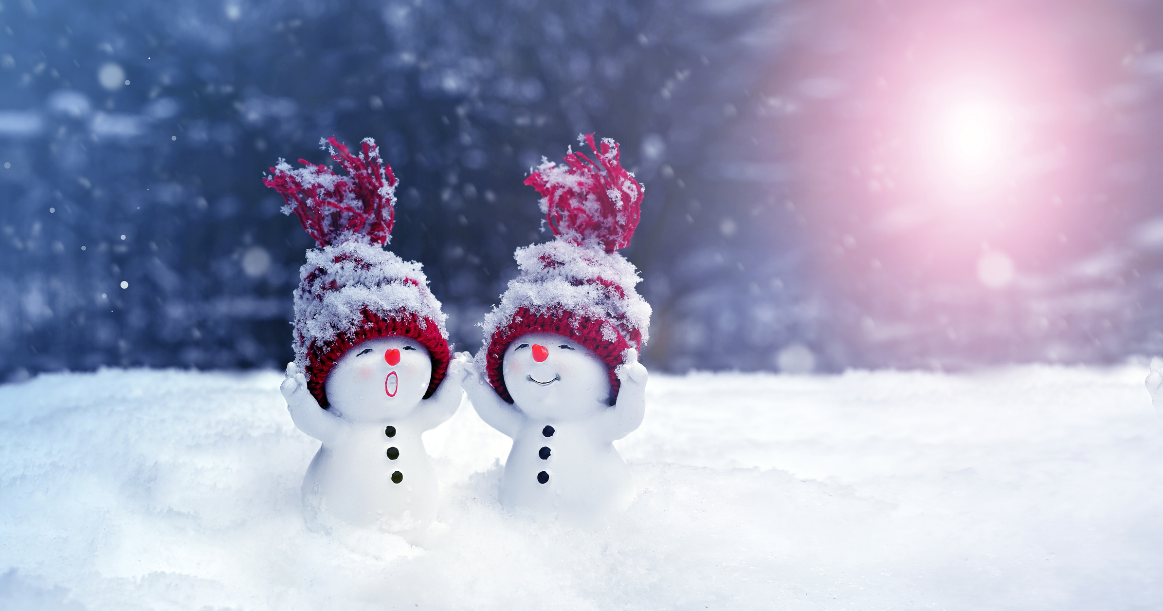 Winter Holidays Lesson Plans and Resources