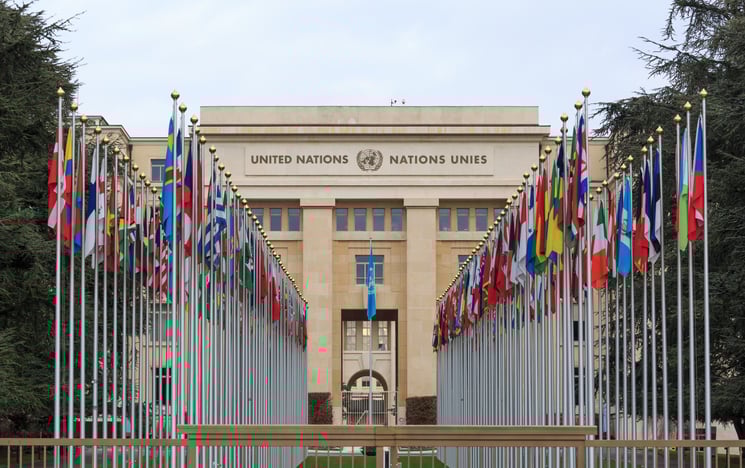 Understanding the United Nations: History, Careers and Model UN