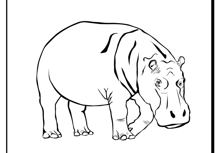 Cool Coloring Pages: Hippopotamus