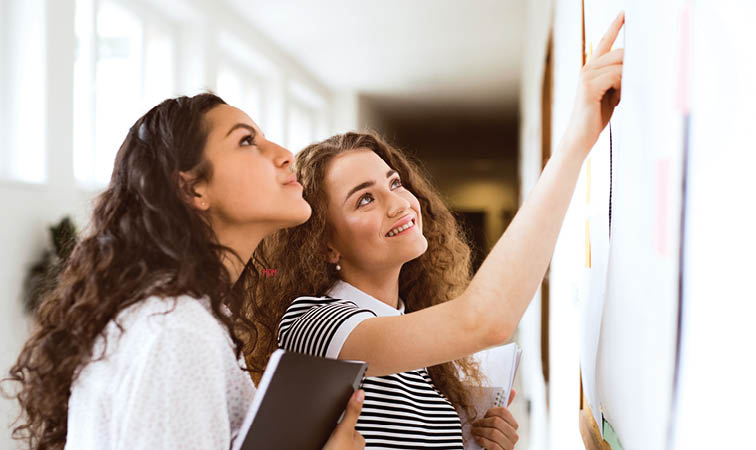 Gratitude Bulletin Board Slips for Thanksgiving | SEL