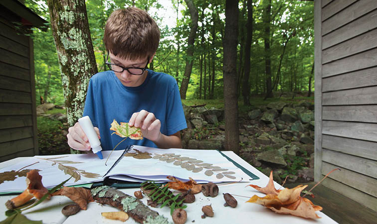 Create a Positivity Portfolio for Wellbeing | SEL/Special Education