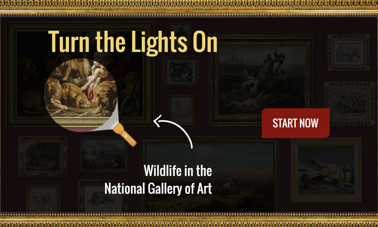 Turn the Lights on Wildlife in the National Gallery of Art