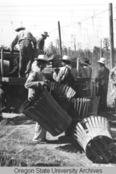 Workers that were part of the Bracero program