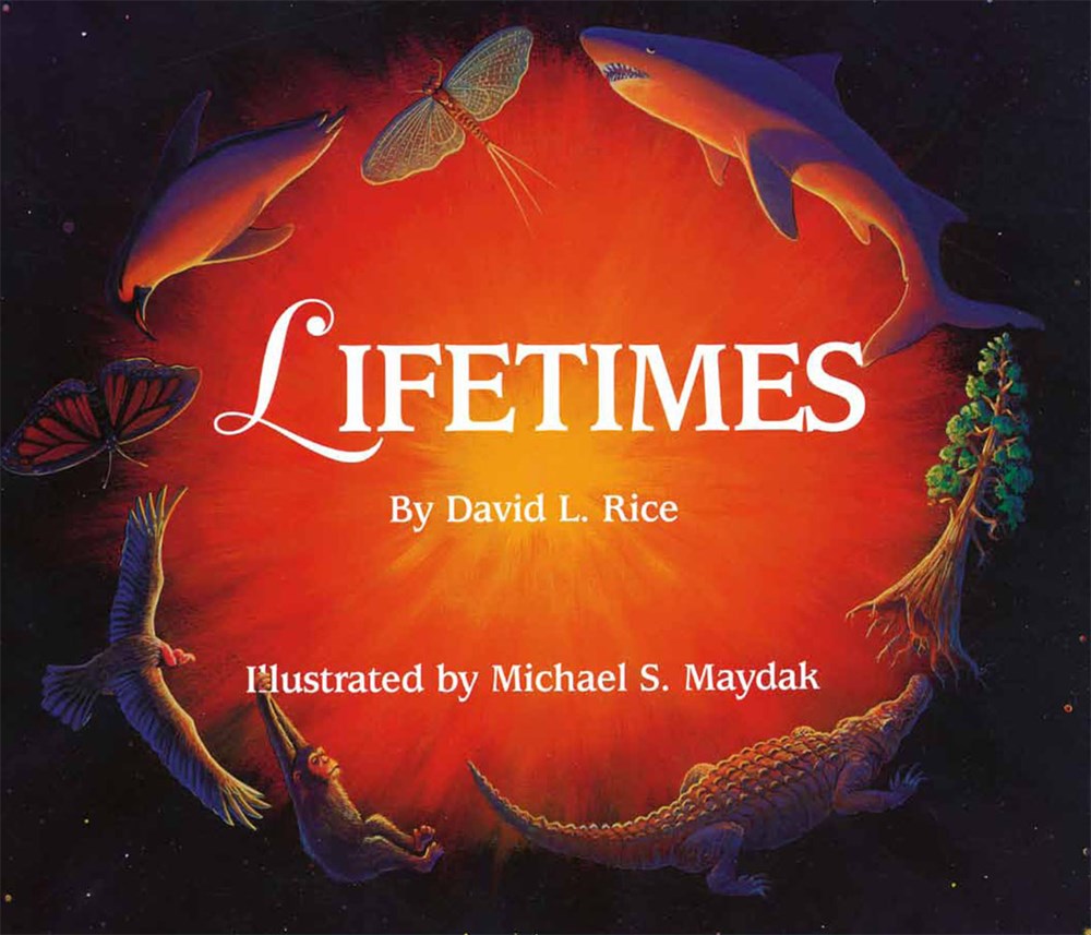 Lifetimes Activity