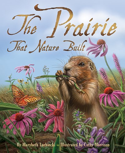 Prairie that Nature Built Activity