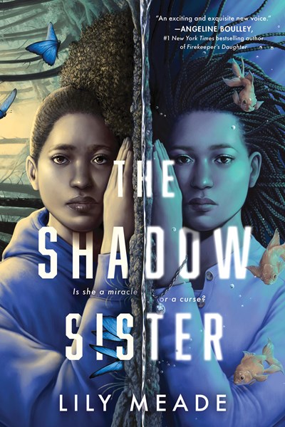 The Shadow Sister Discussion