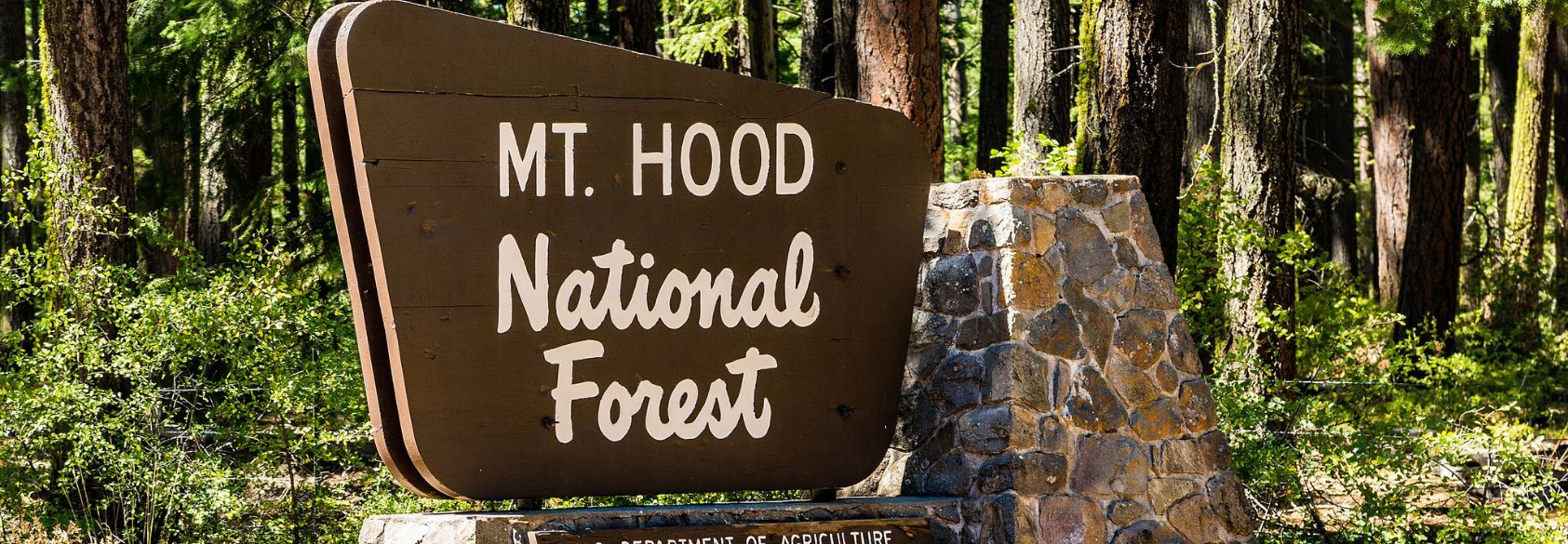 White House Set to Roll Back Protections for Nearly 60 Million Acres of National Forests