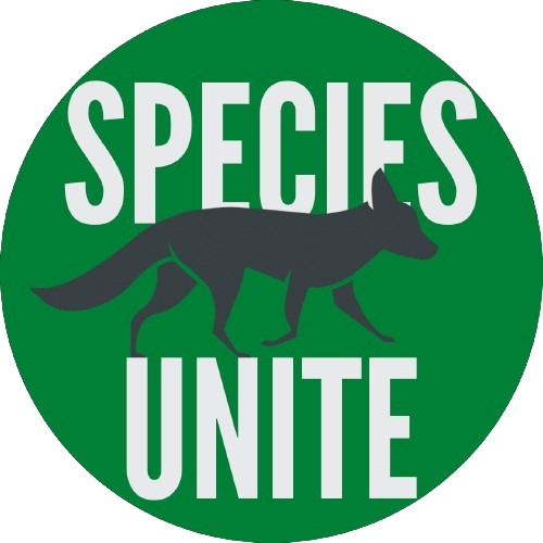 Free 6-Week Wolf Education Unit for Grades 9-12