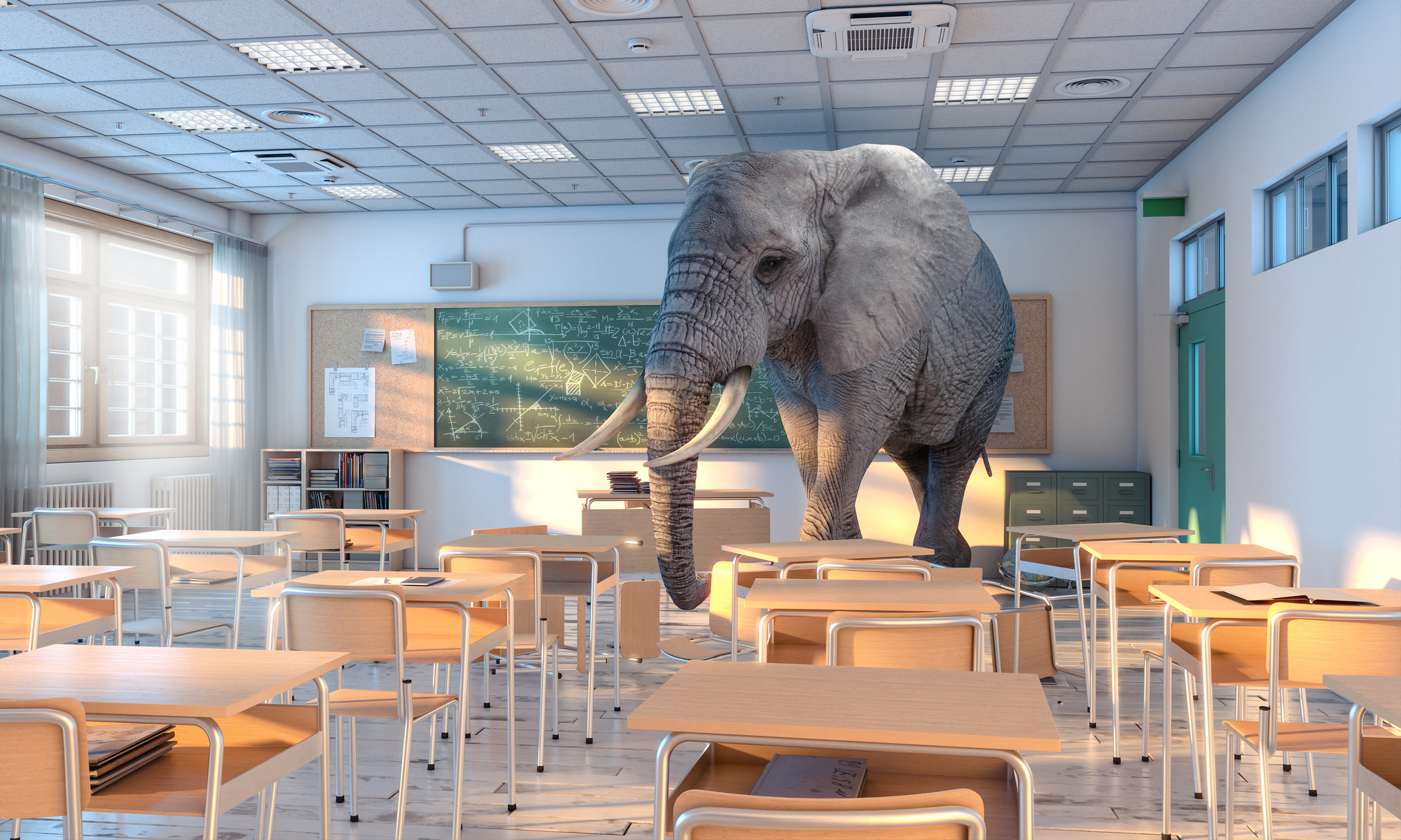 elephant in a classroom