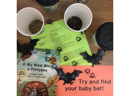 halloween activities baby bat cups