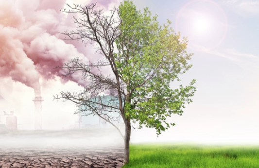 joe biden climate change plan - learn more about climate change in this climate change collection