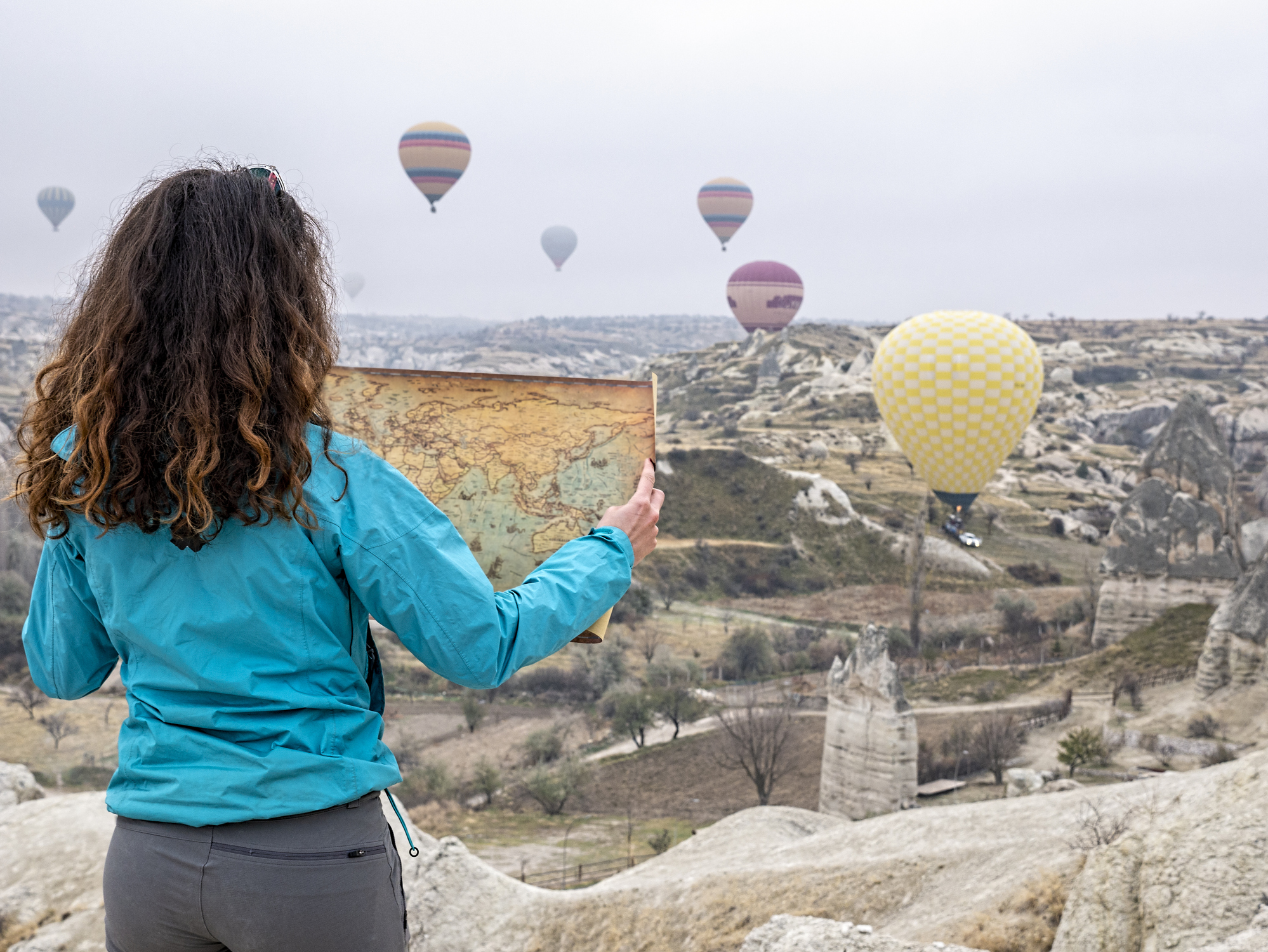 Gerbil Whiteboard Image