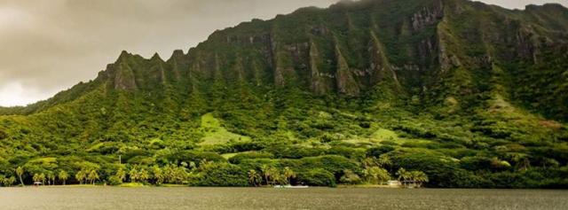 Weather Effects on Crops - Project Based Learning