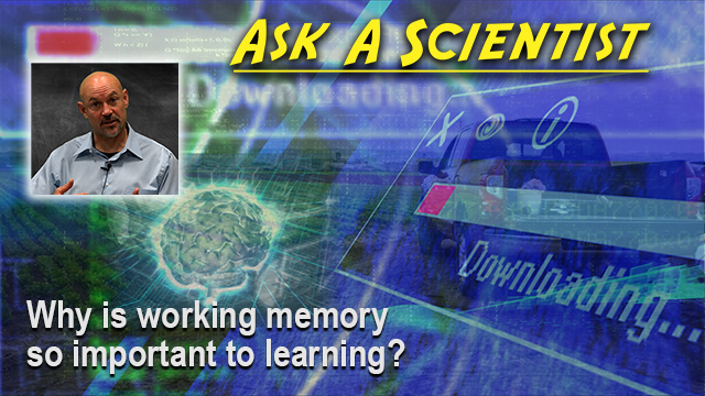 Ask a Scientist: Paul Morgan -- Why is working memory so important to learning?