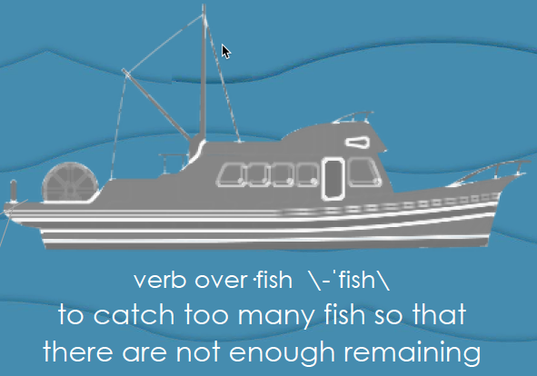 Bycatch and Overfishing Posters