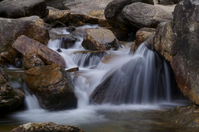 How Natural Areas Filter Water