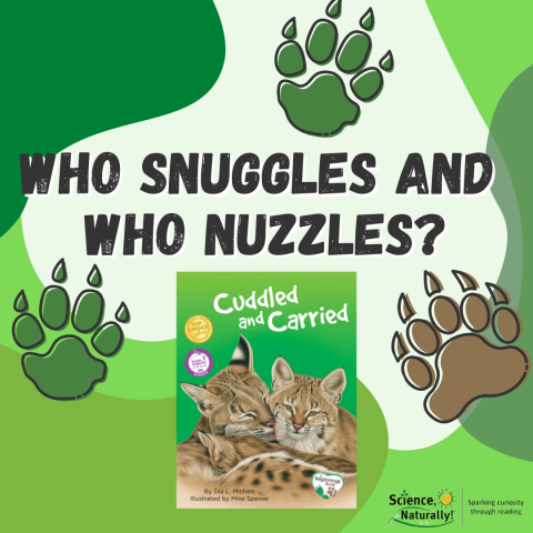 Who Snuggles and Who Nuzzles? from "Cuddled and Carried"