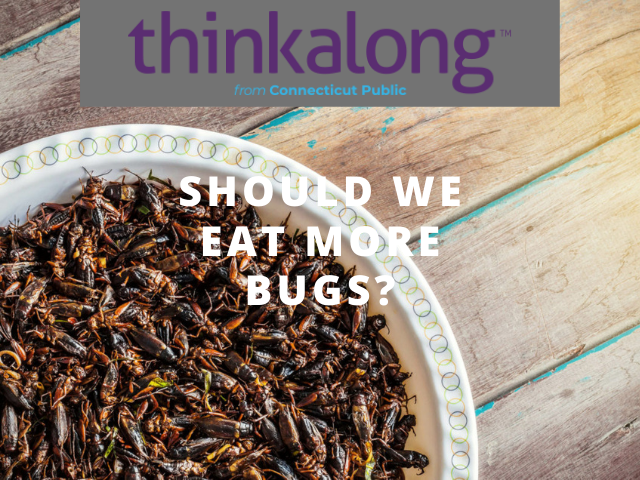 Should we eat more bugs? - Civil Discourse for Classrooms