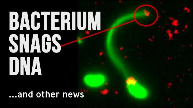 4 awesome discoveries you probably didn't hear about this week -- Ep. 5