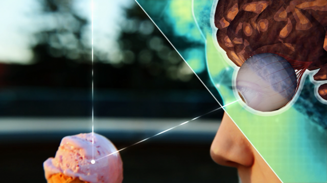 STEM explains the world! Science, Technology, Engineering, Mathematics