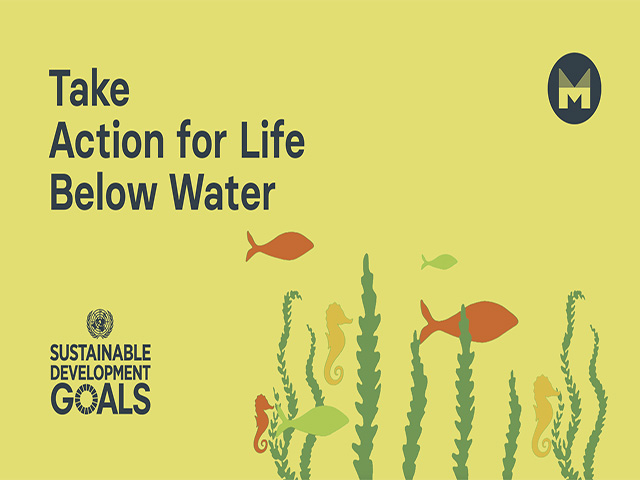 Take Action for Life Below Water (Ages 11 - 17)