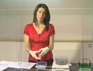 Methods for Protein Purification