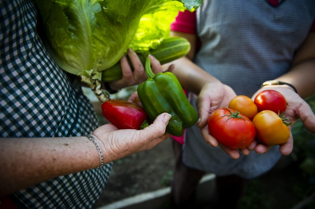 Food and Carbon - Gardens Activity Guide