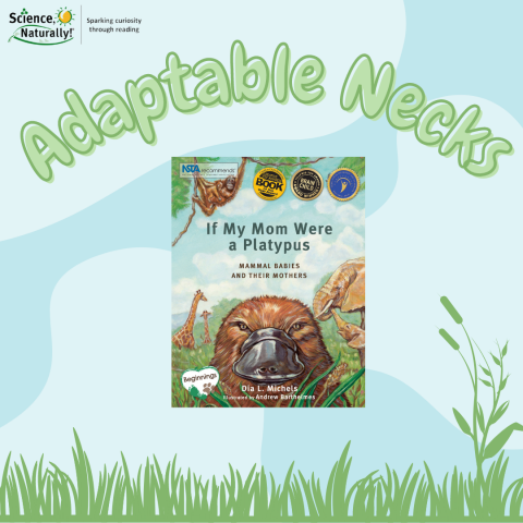 Adaptable Necks from "If My Mom Were a Platypus"