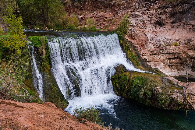 "Everyone Has a Right to Life," SEL/ Literacy Lesson with Coyote Returns Water From the Frog People